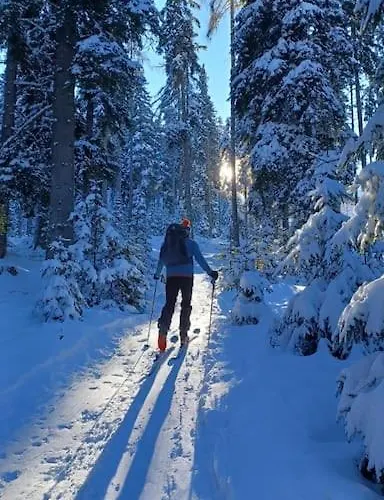 Kloesterle Haus Resi Arriach